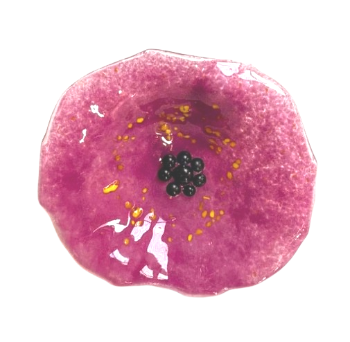 Jenni+113.png