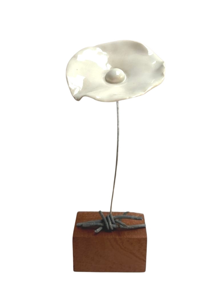 Suzie+74.png