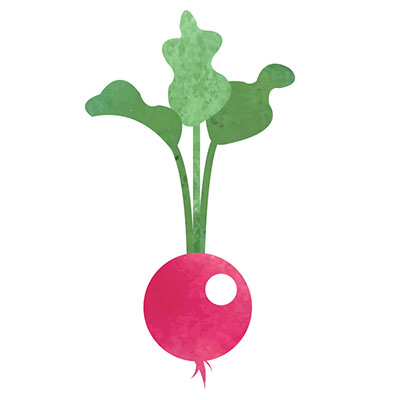 radish.jpg