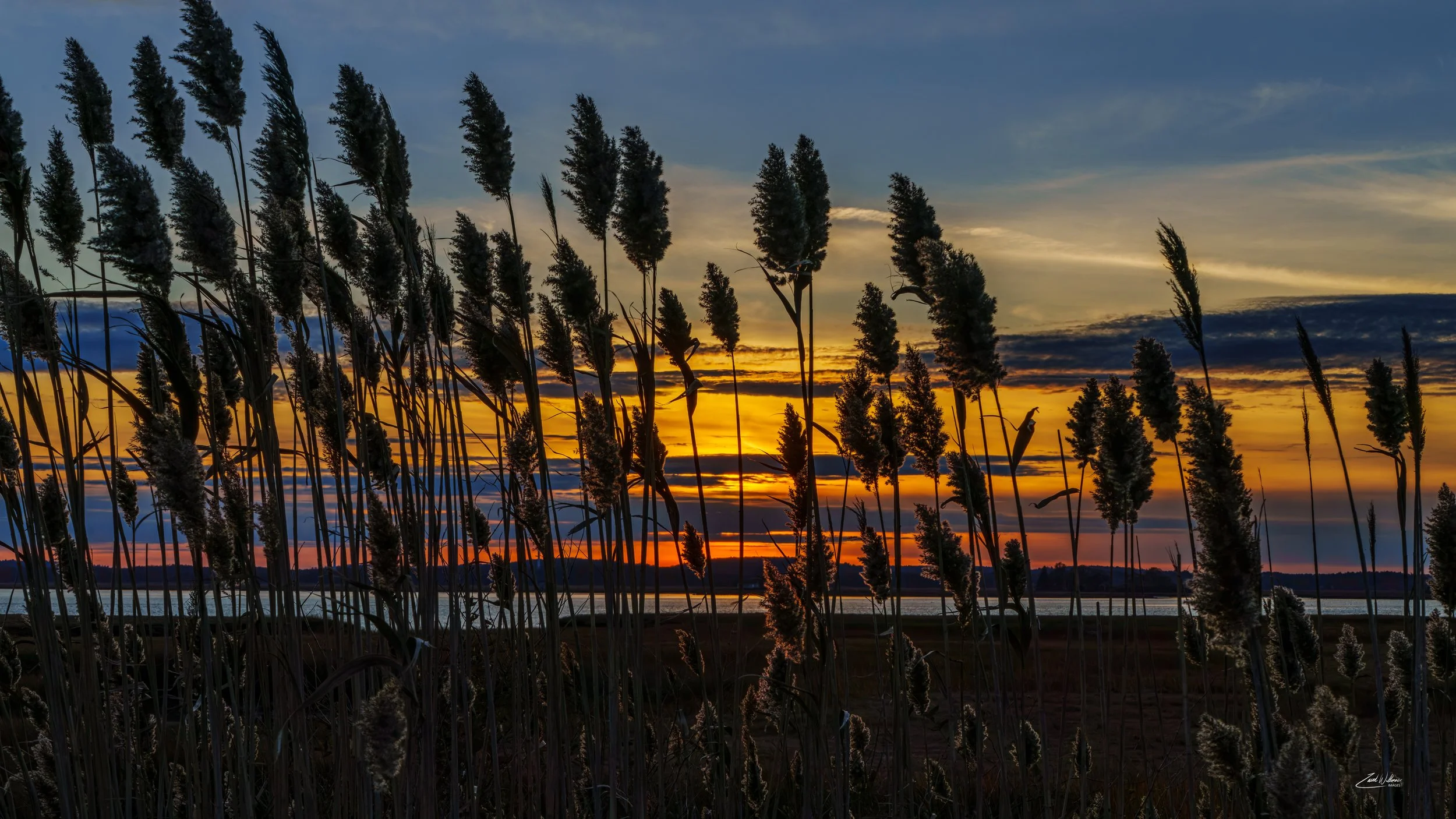 Plum Island Sound at Sunset