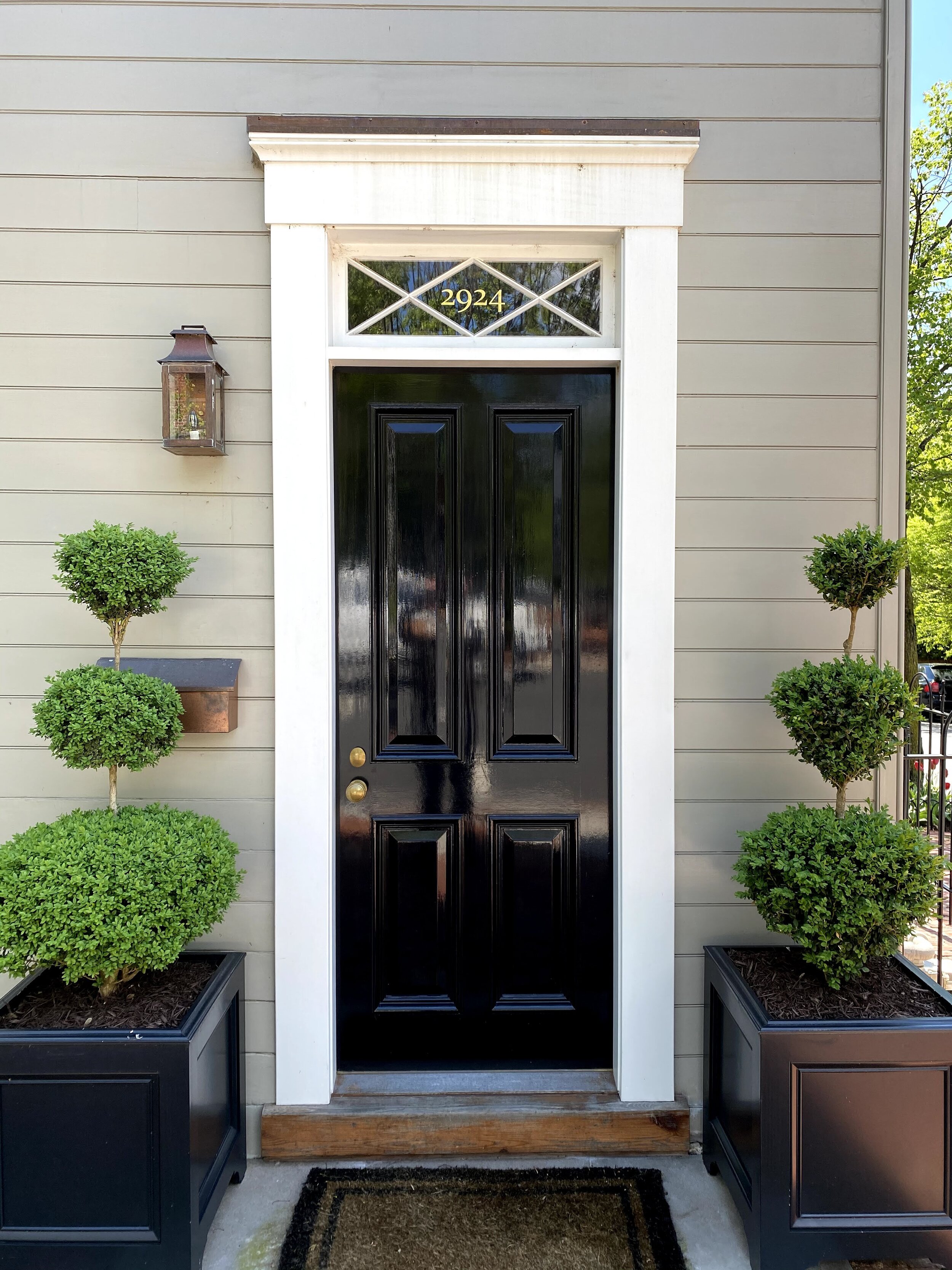 Georgetown door renovated and installed