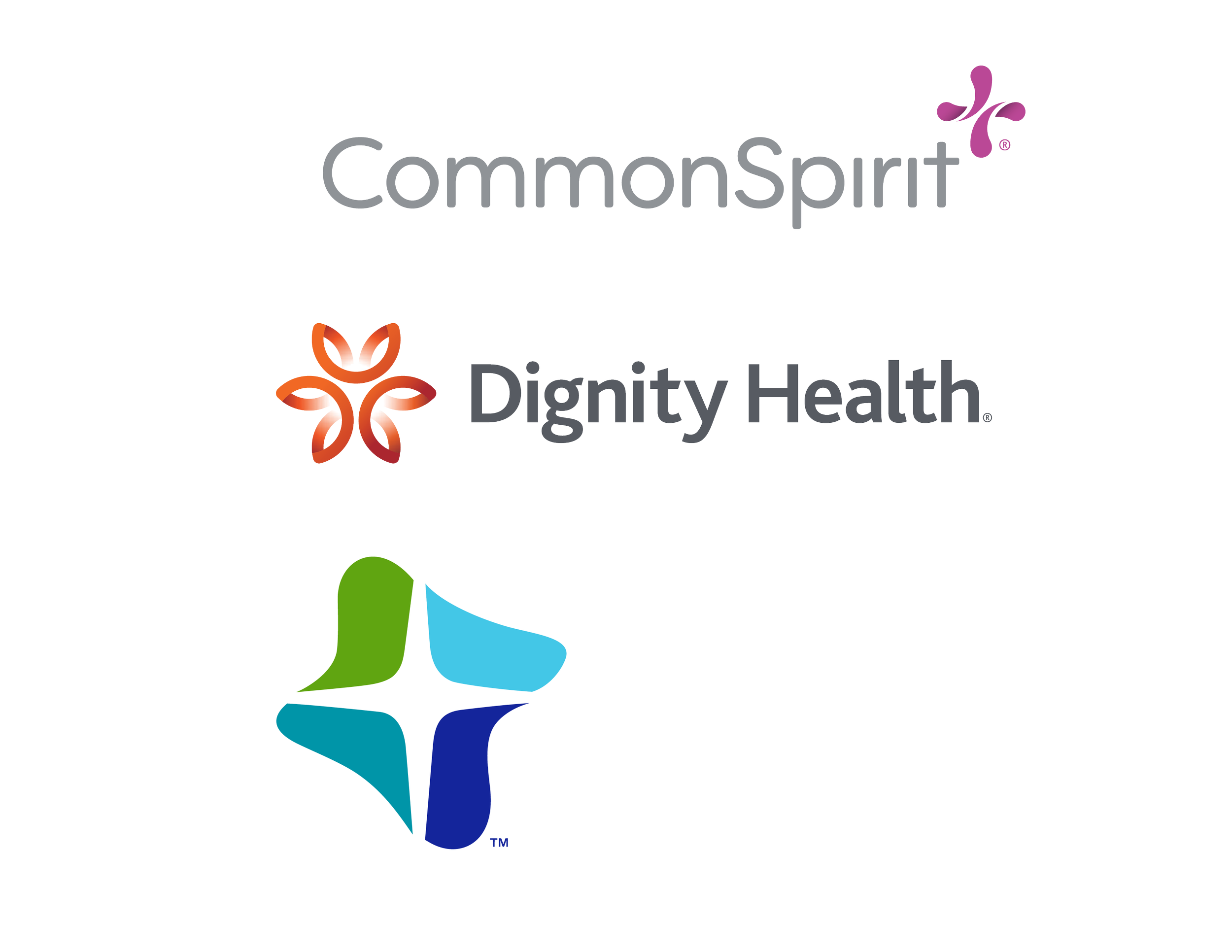 CSH-CHI-DH Social Posts