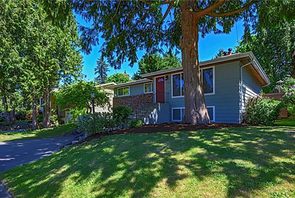 Expansive space in Olympic Hills