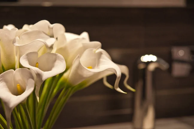 Powder Room Decor.jpg