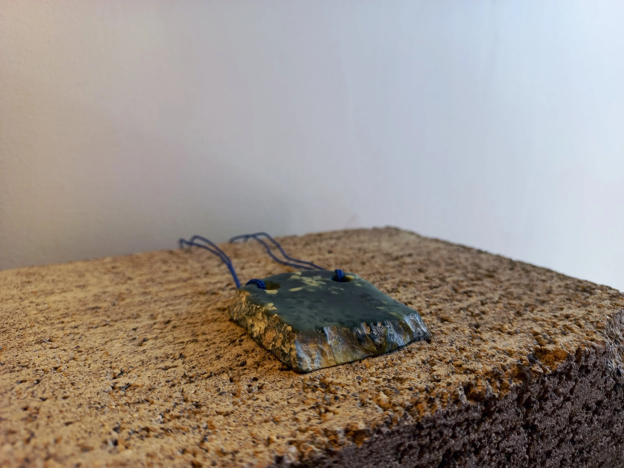 20250902_114756.jpg