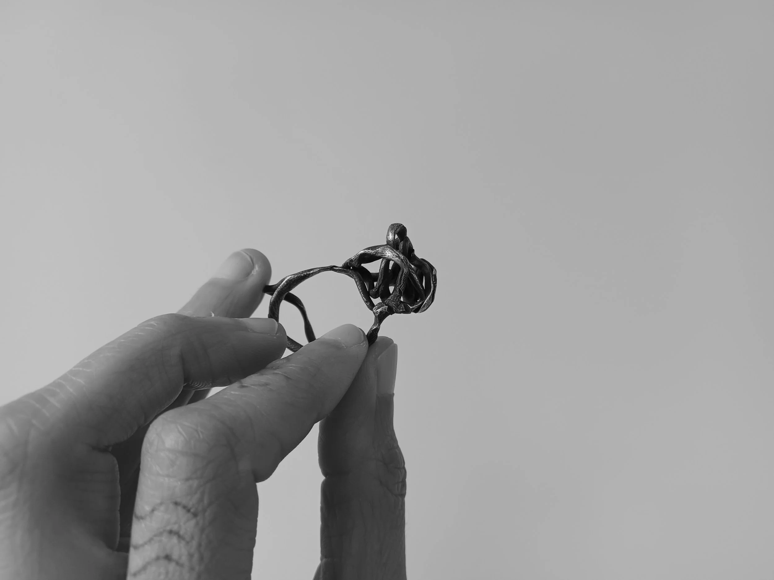 20240808_123258.jpg