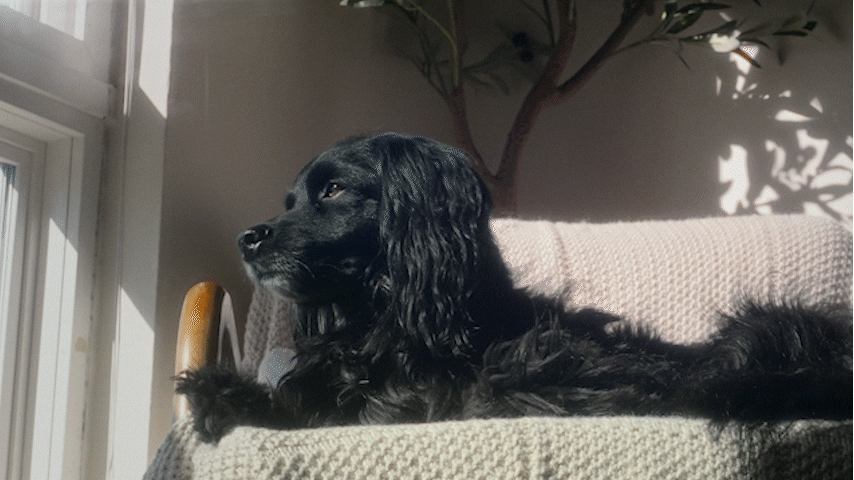 Corners | Short Film