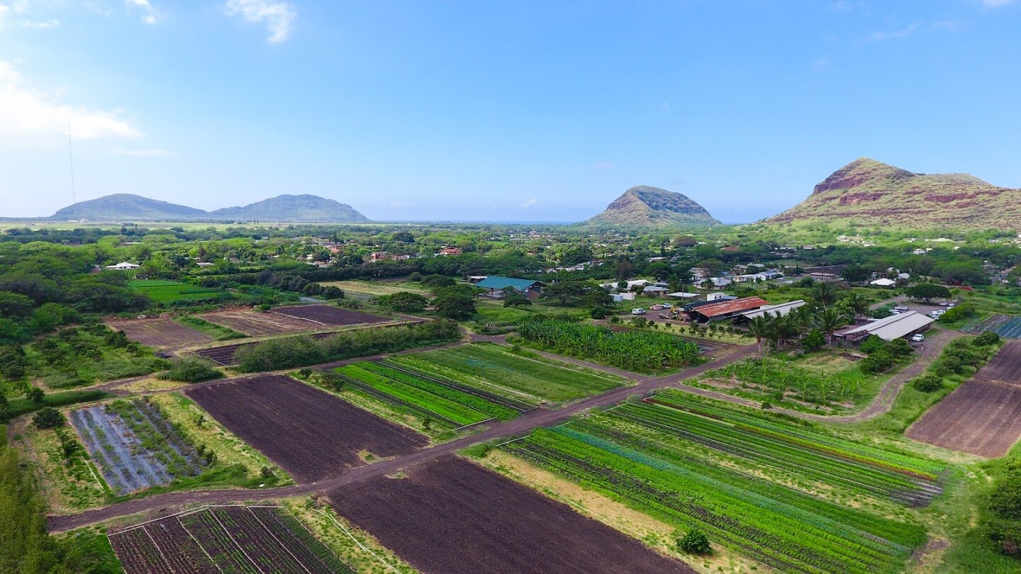 Ma O Organic Farms