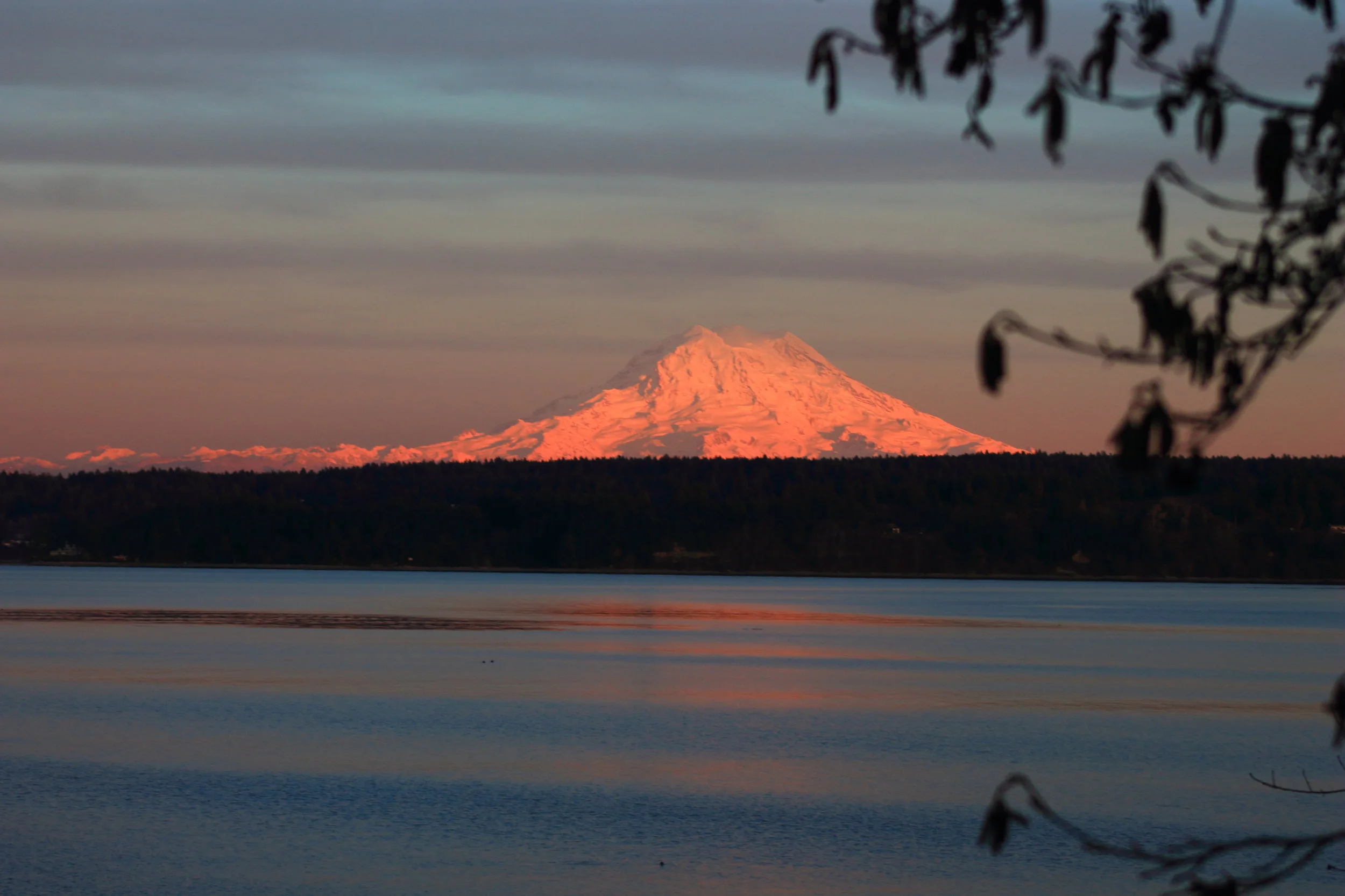pinkmtn.JPG
