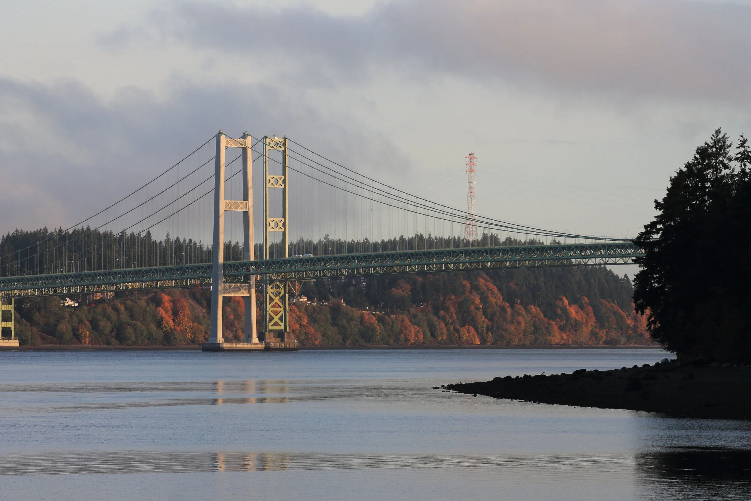 Narrows Bridge from Titlow Park, Tacoma