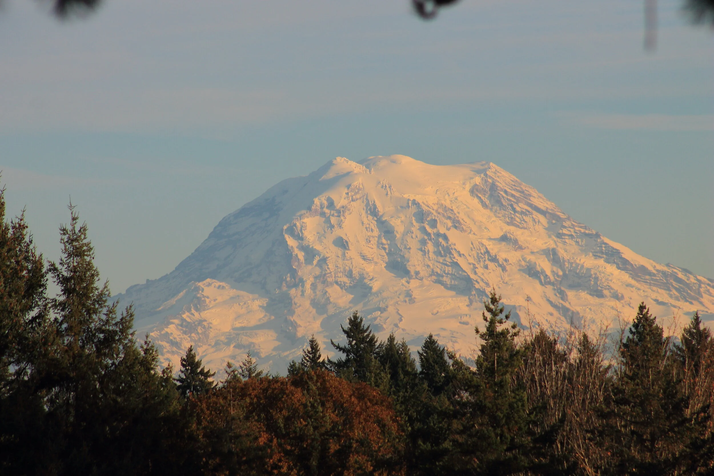 Rainier on a morning in October 2019.