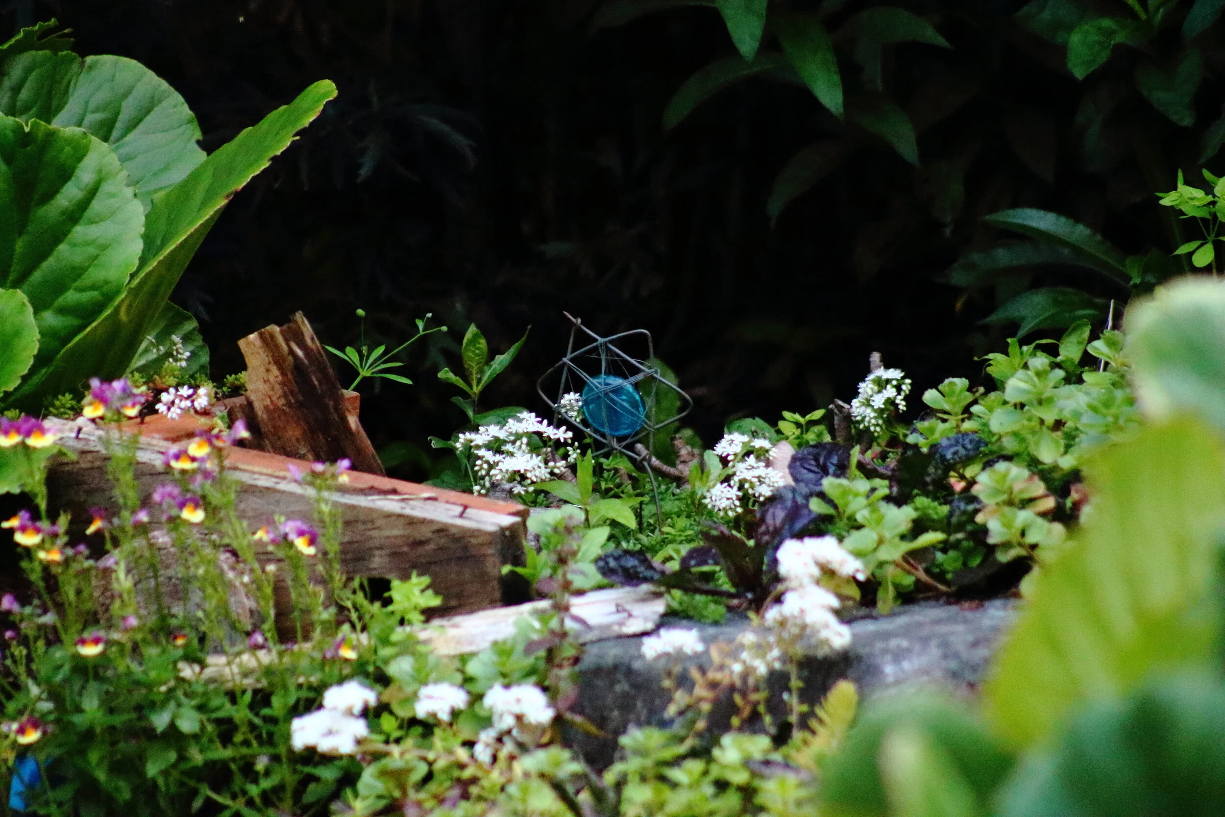 Garden16.JPG