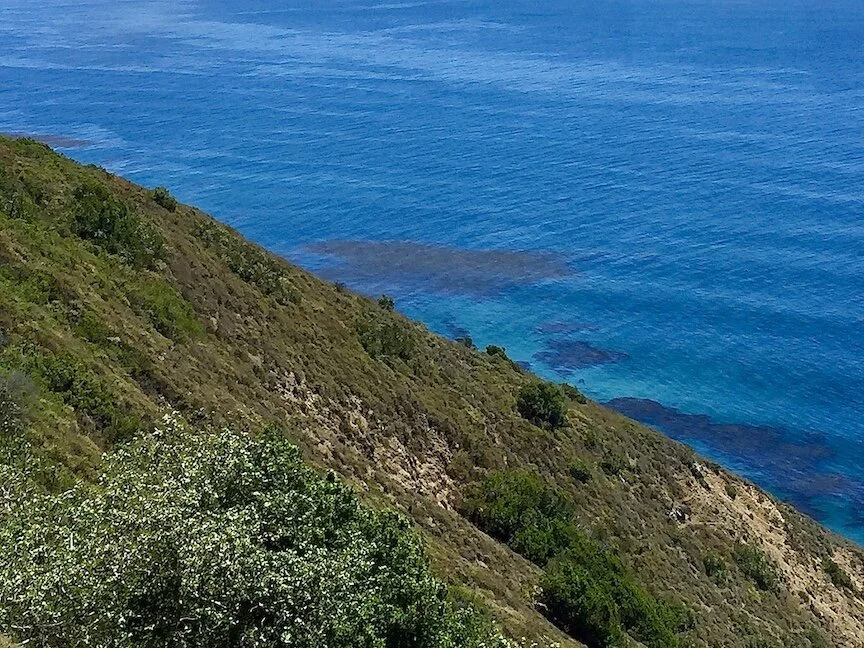 Big Sur for Banner on all Pages.jpeg