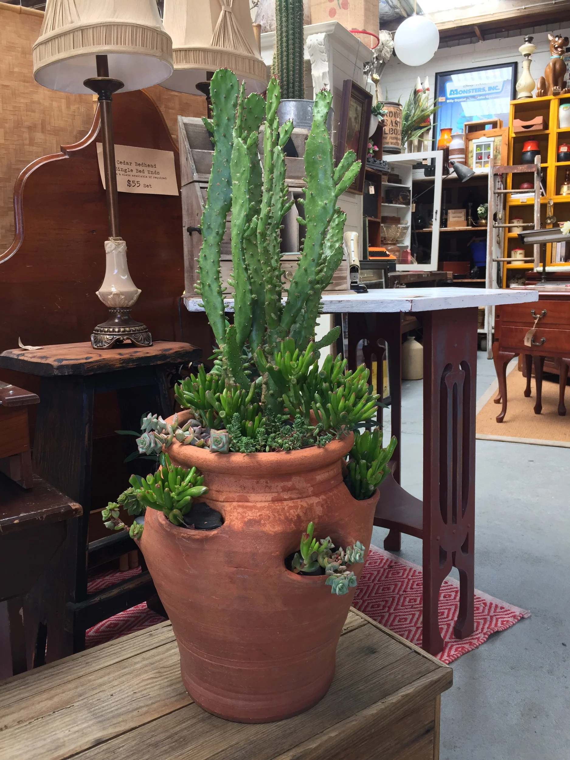 Cactus and succulents in terracotta strawberry pot.
