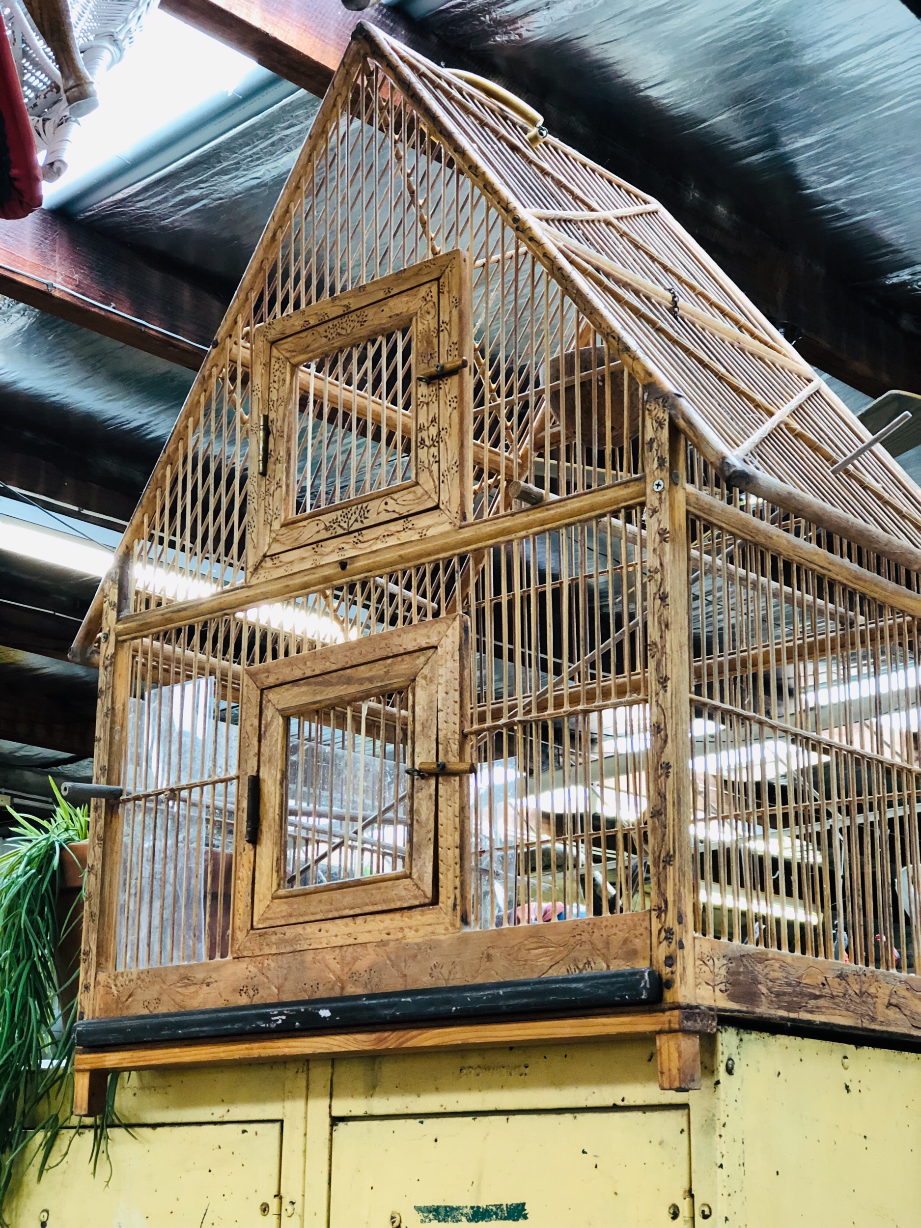 amazing bird cages