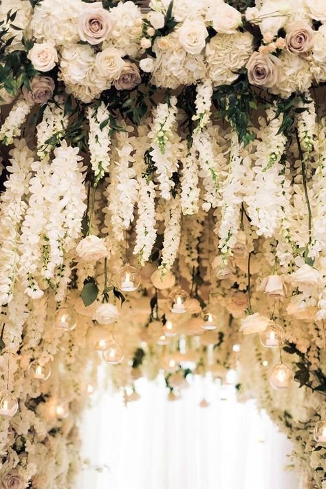 Grand Fairytale4.jpeg