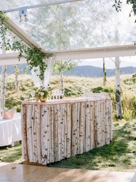 Mountain Wedding3.jpeg