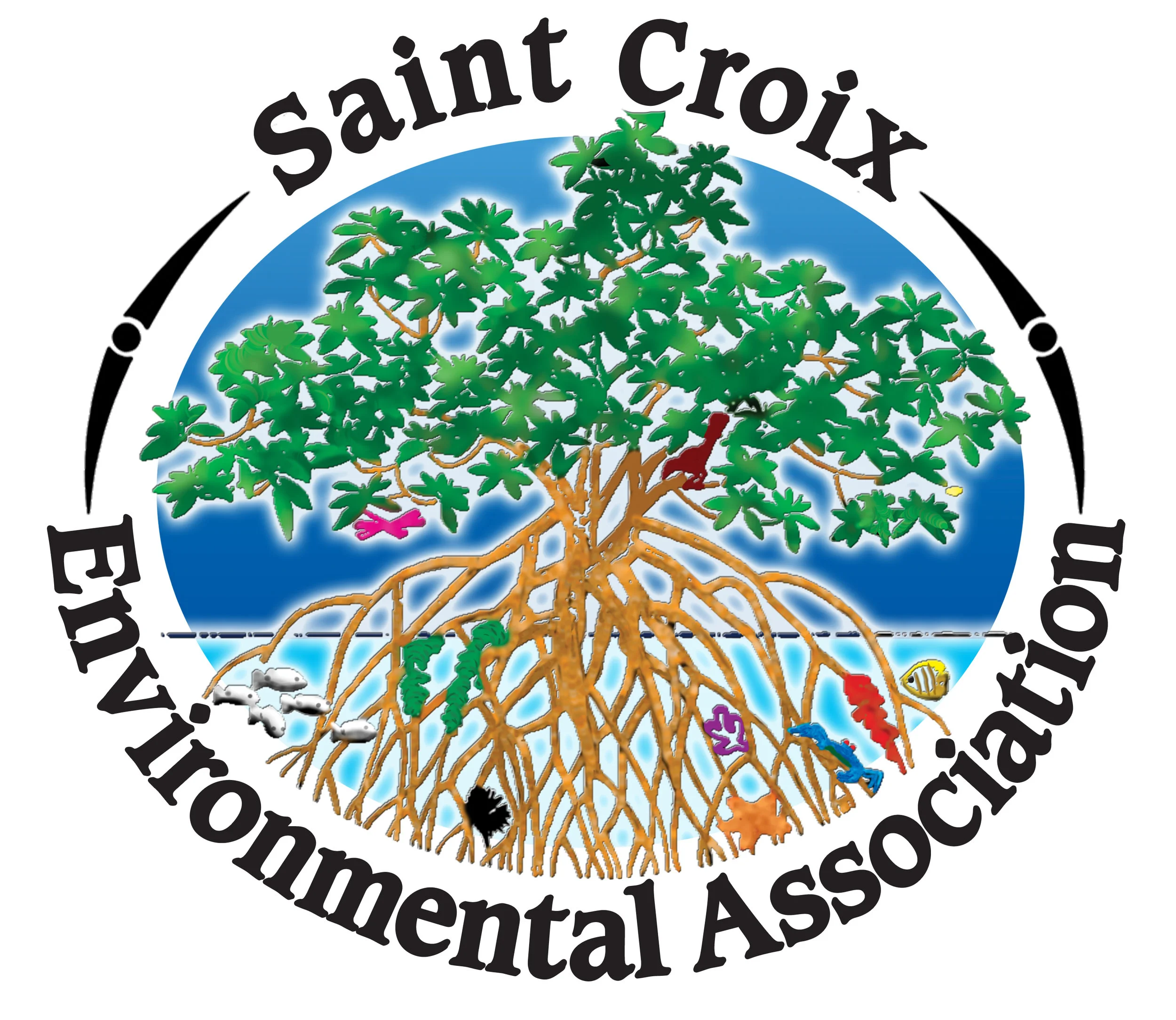 SEA Logo, new colors.jpg