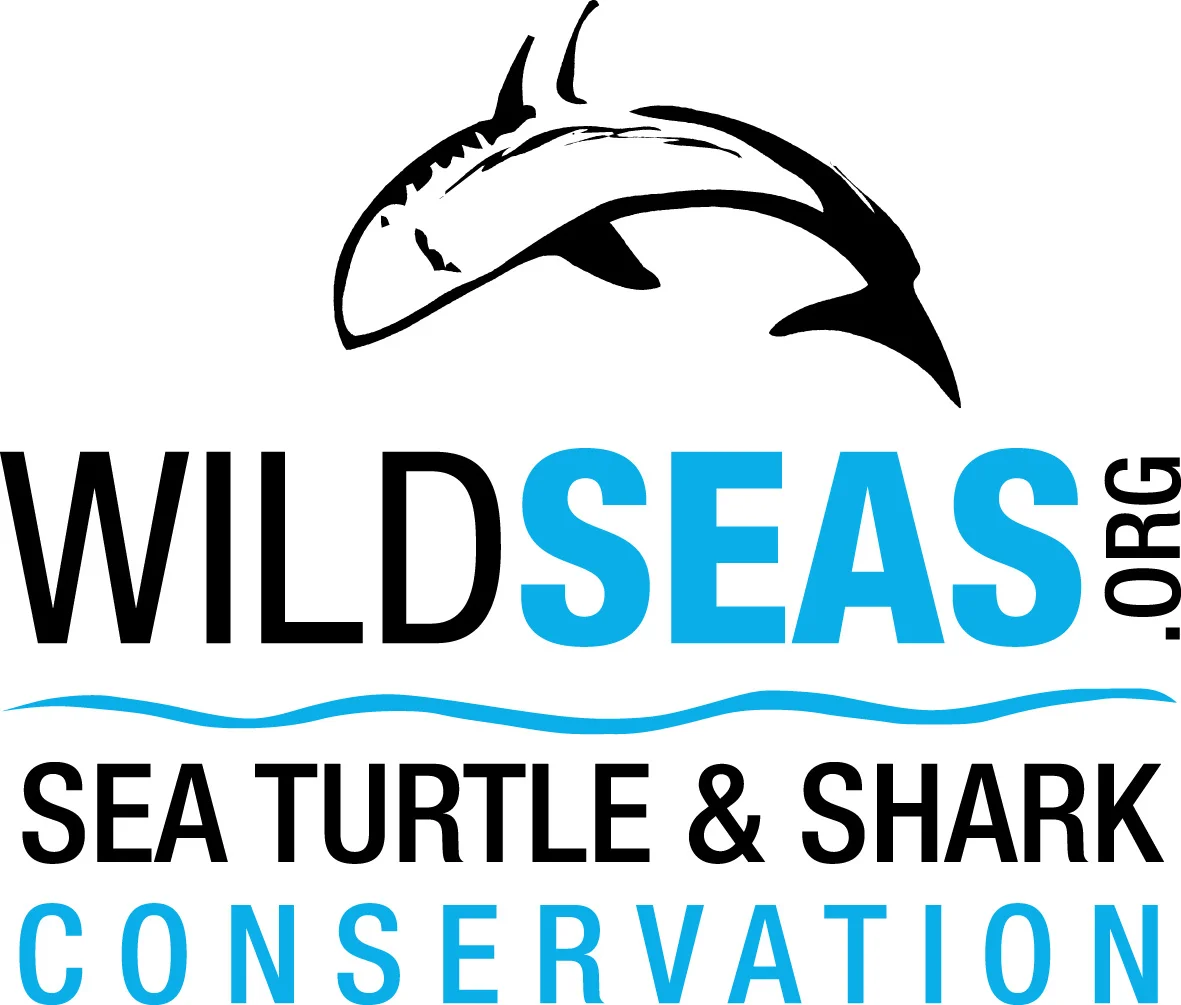 wildseas logo.jpg