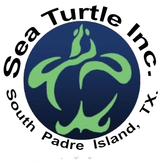 STI earth logo only.png