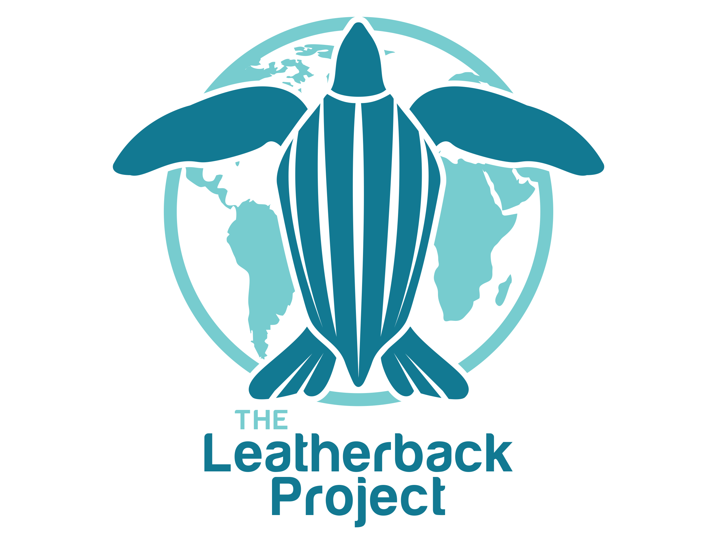leatherback.png