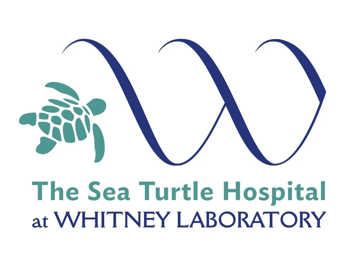 SeaTurtleHospital-Logo-Teal.jpg