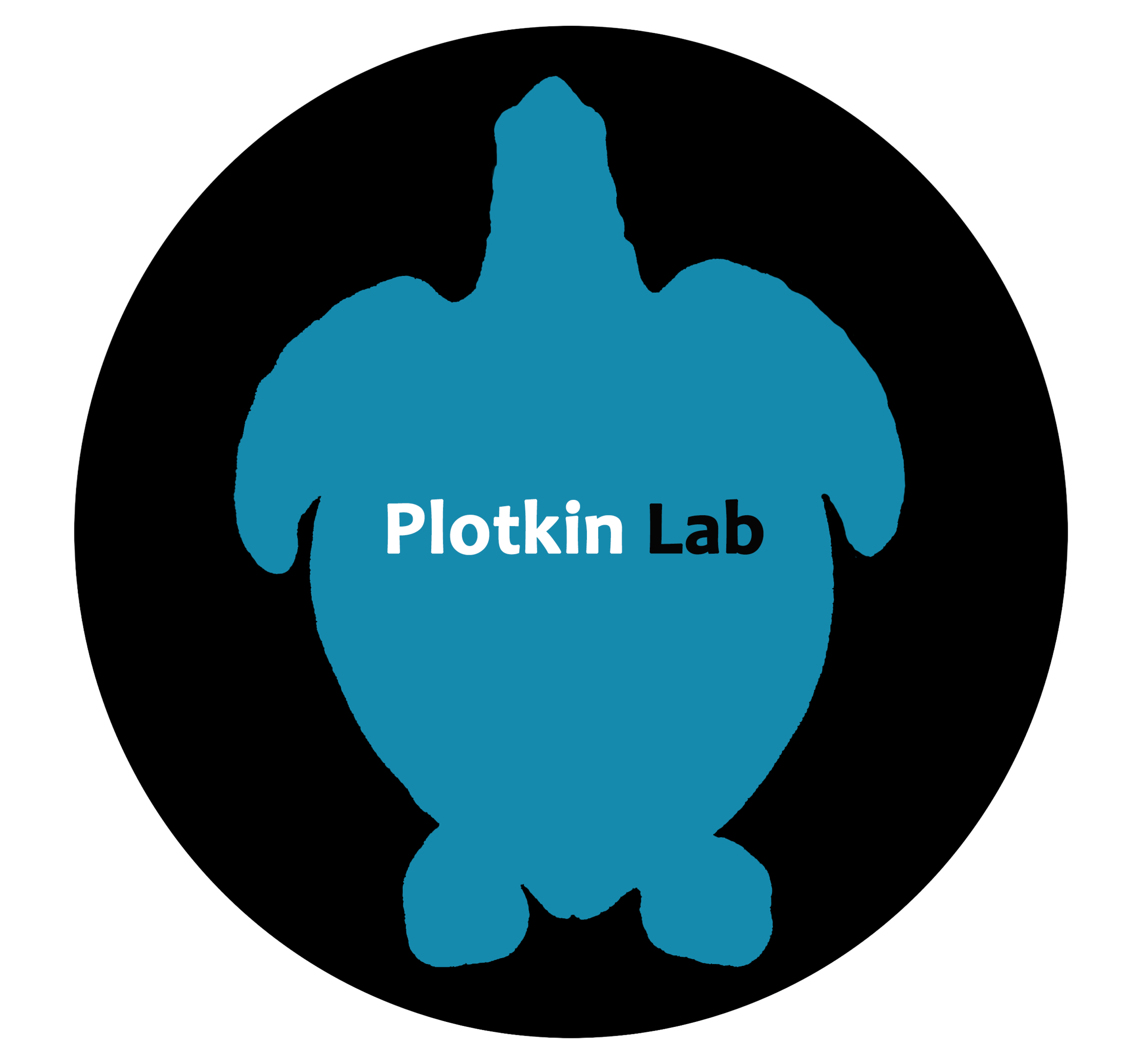 PloktinLabLogo.png