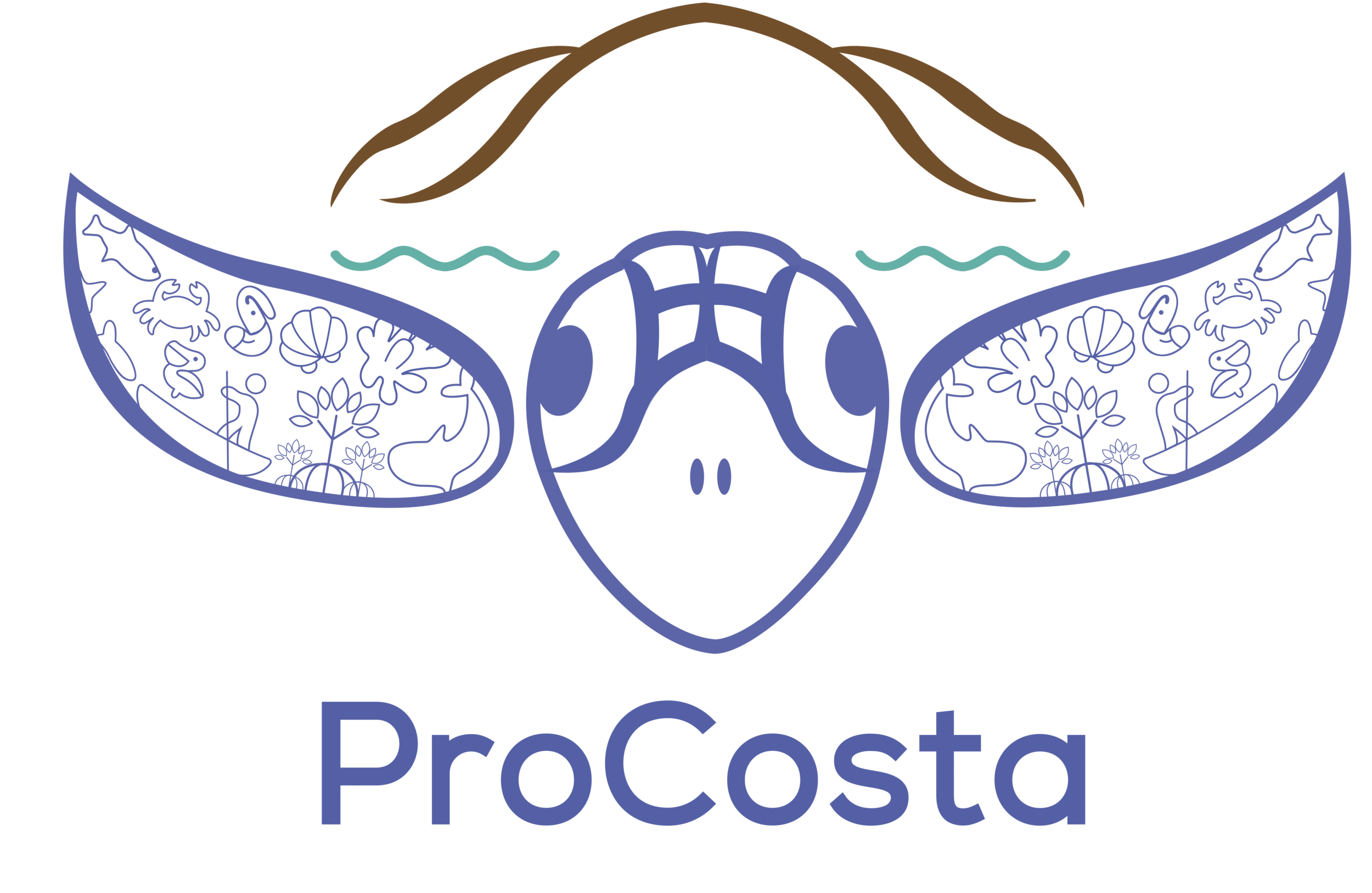 ProCosta logo color.png