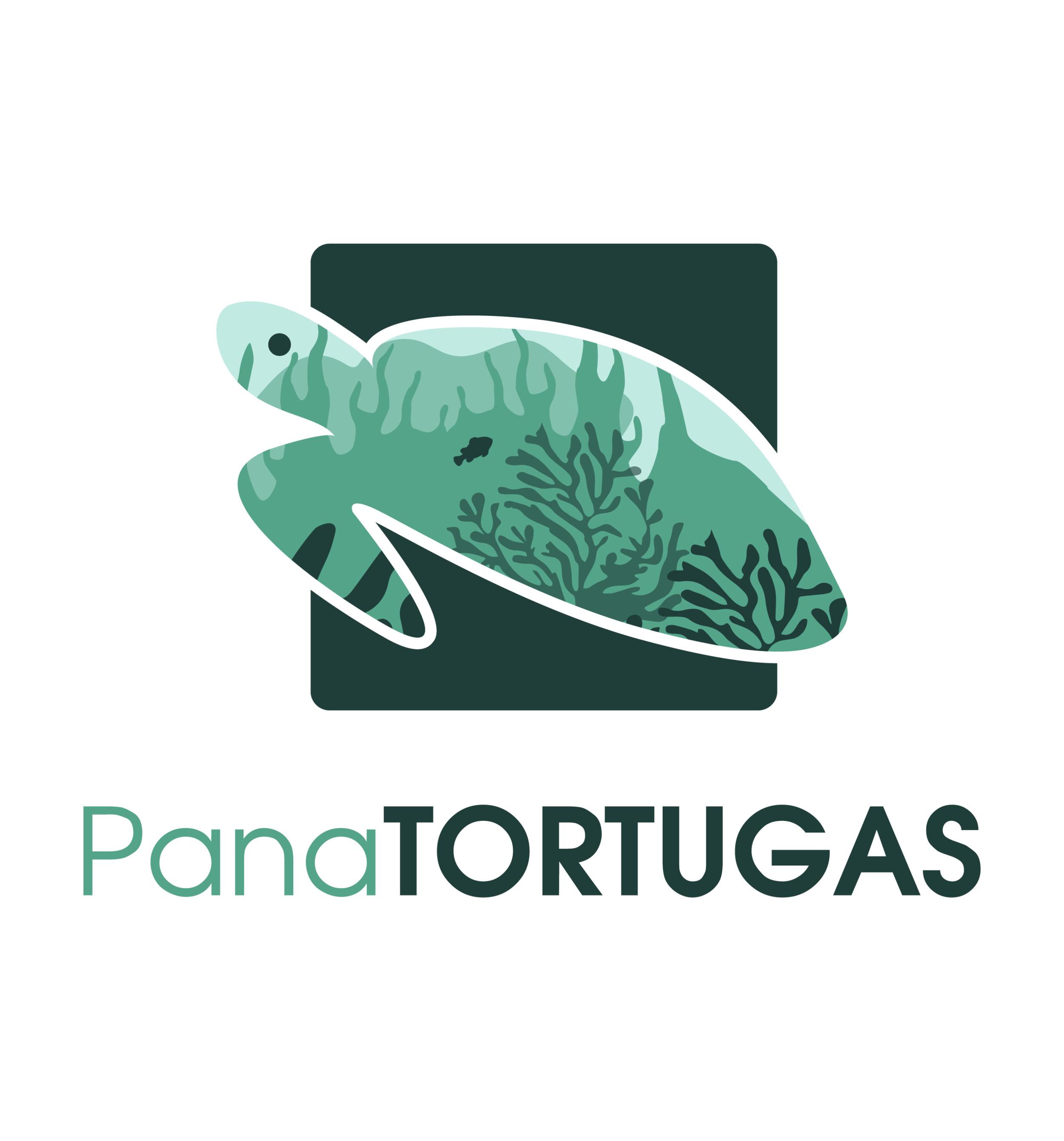 PANATORTUGAS.jpg