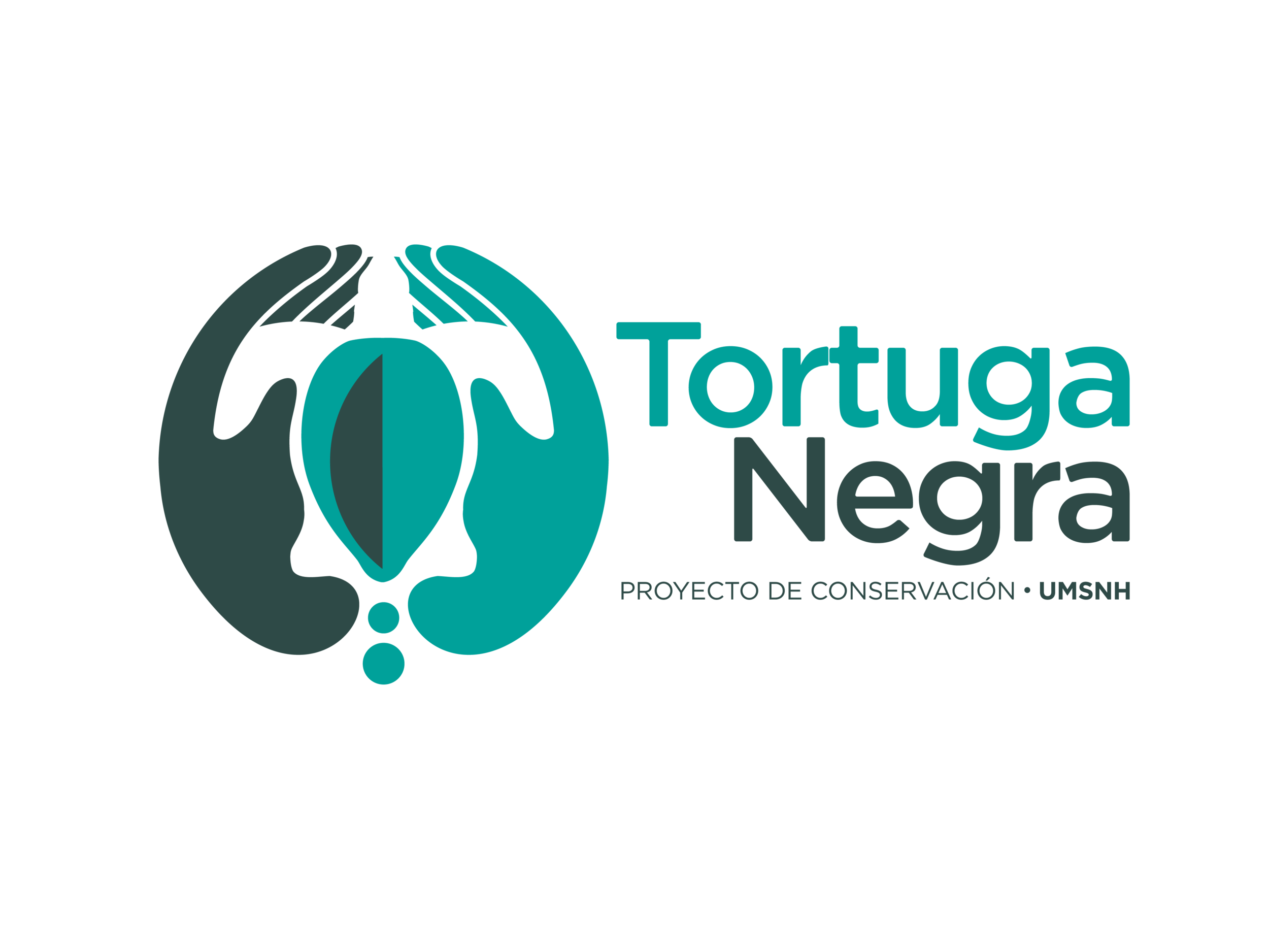 tortuganegra.png