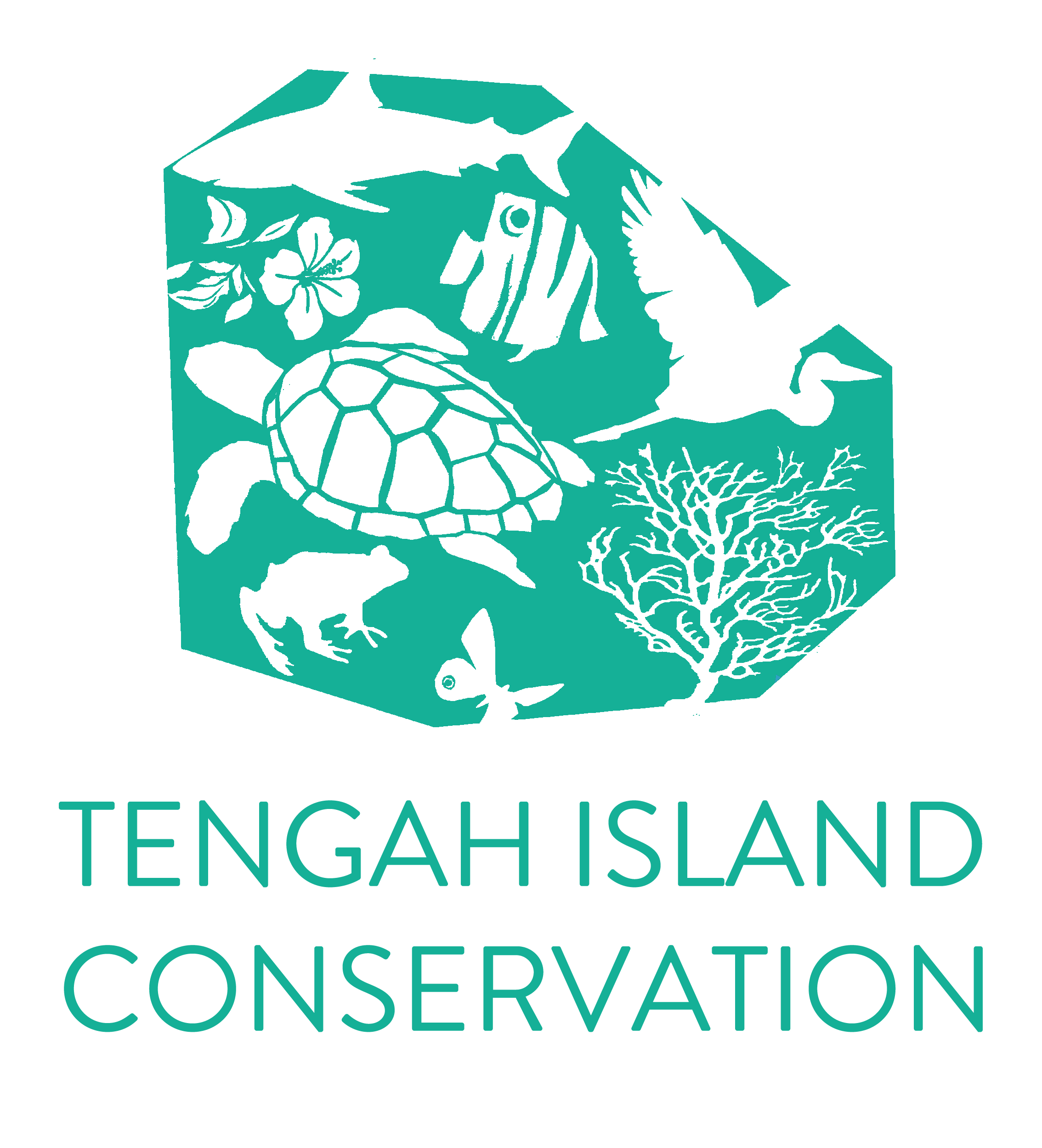 TengahIslandConservation.png