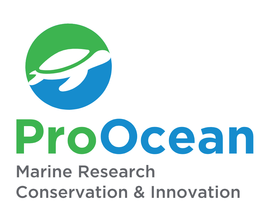 ProOcean.png