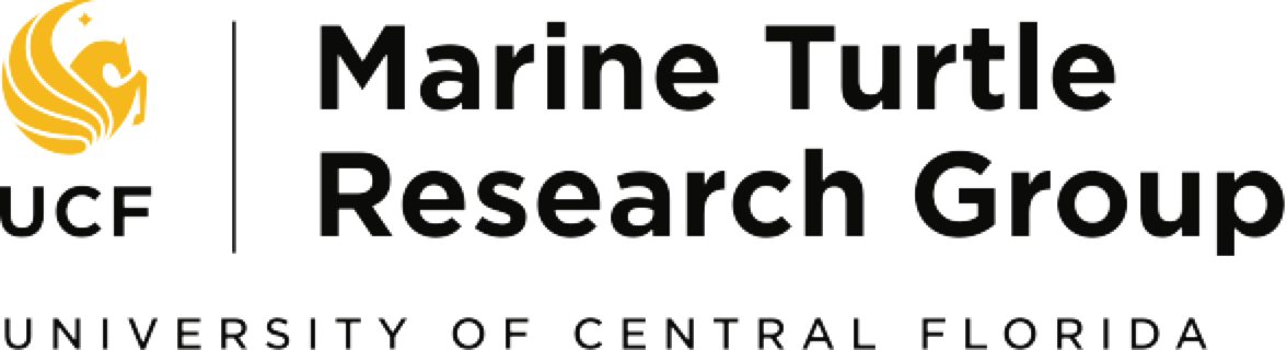UCF Marine Turtle Research.png