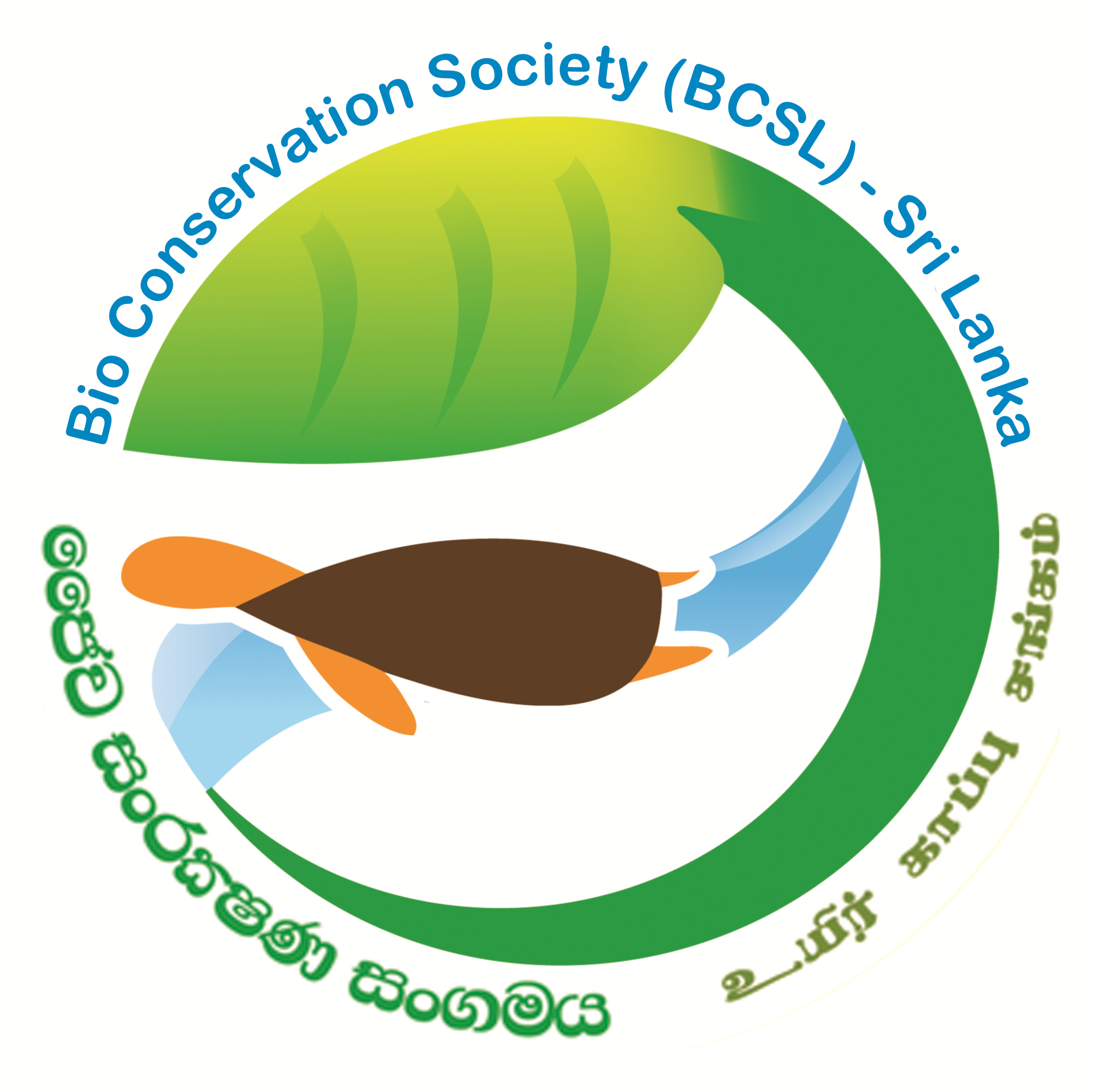 BCSL logo.png