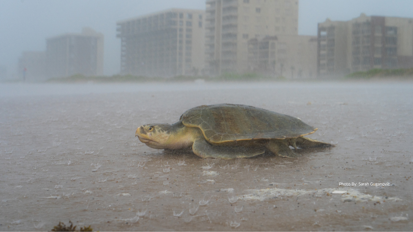 Add a subheading-5.png