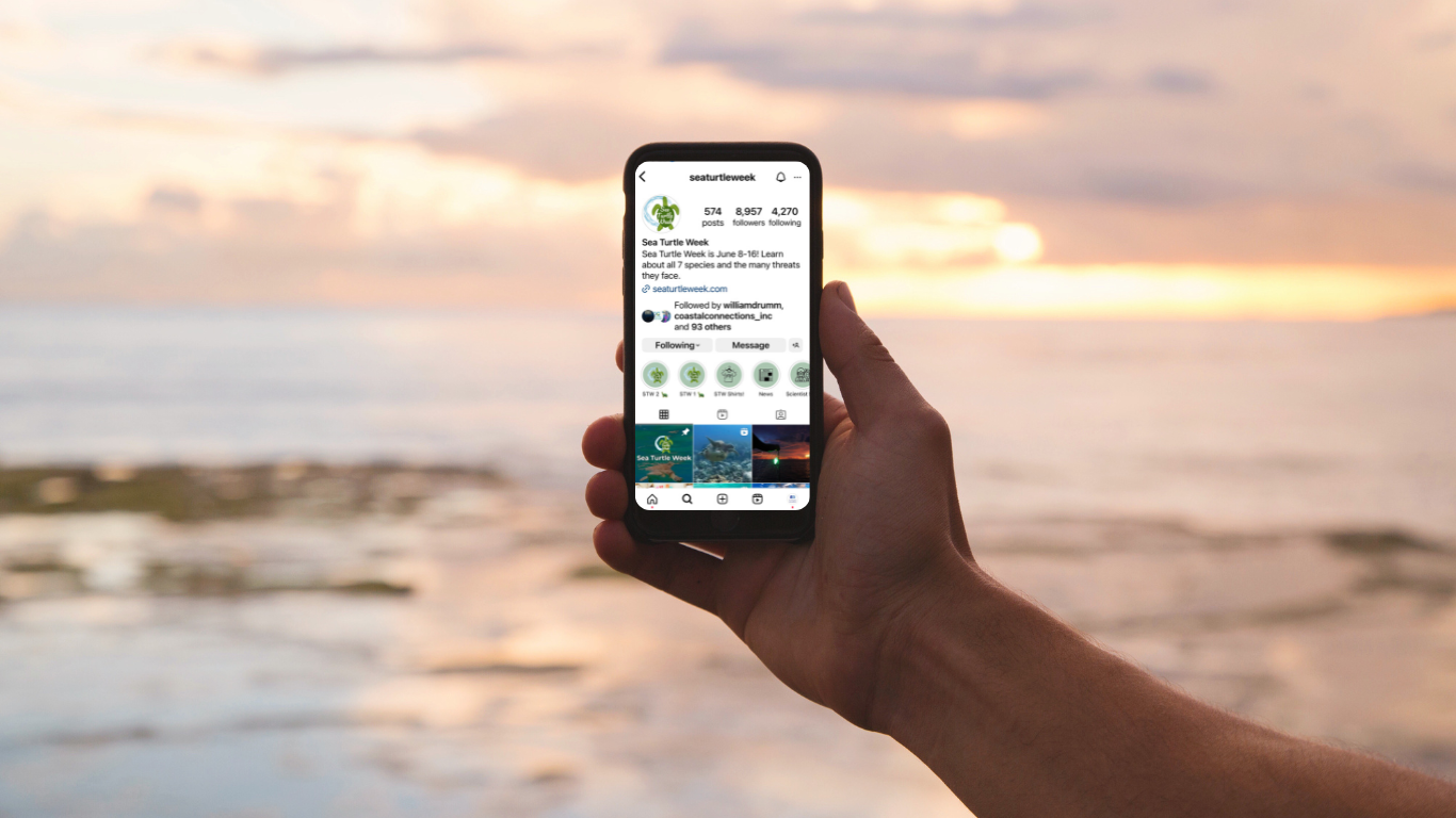 Add a subheading-13.png