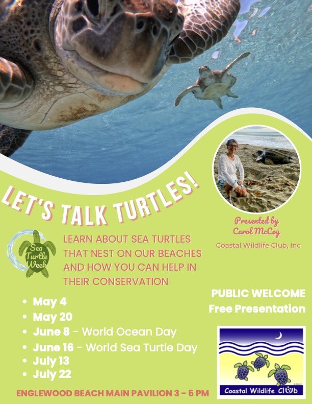 CWC_Let's Talk Turtles! - E C McCoy.jpg