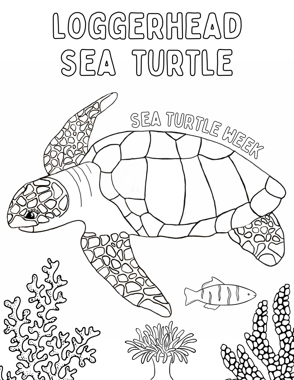 Coloring Sheets #SeaTurtleWeek