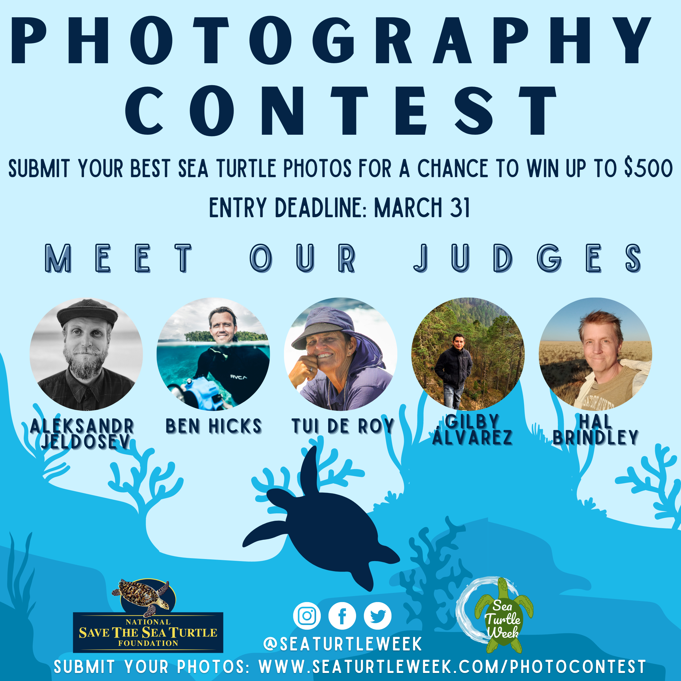Photography Contest — SeaTurtleWeek