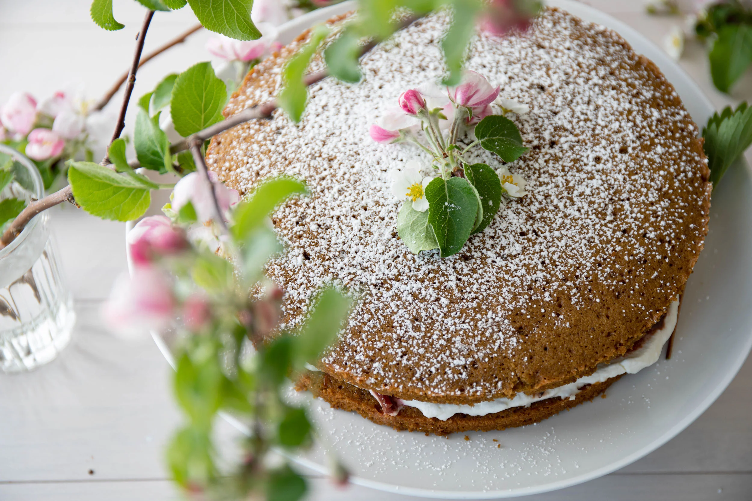rhubarbcake12web.jpg