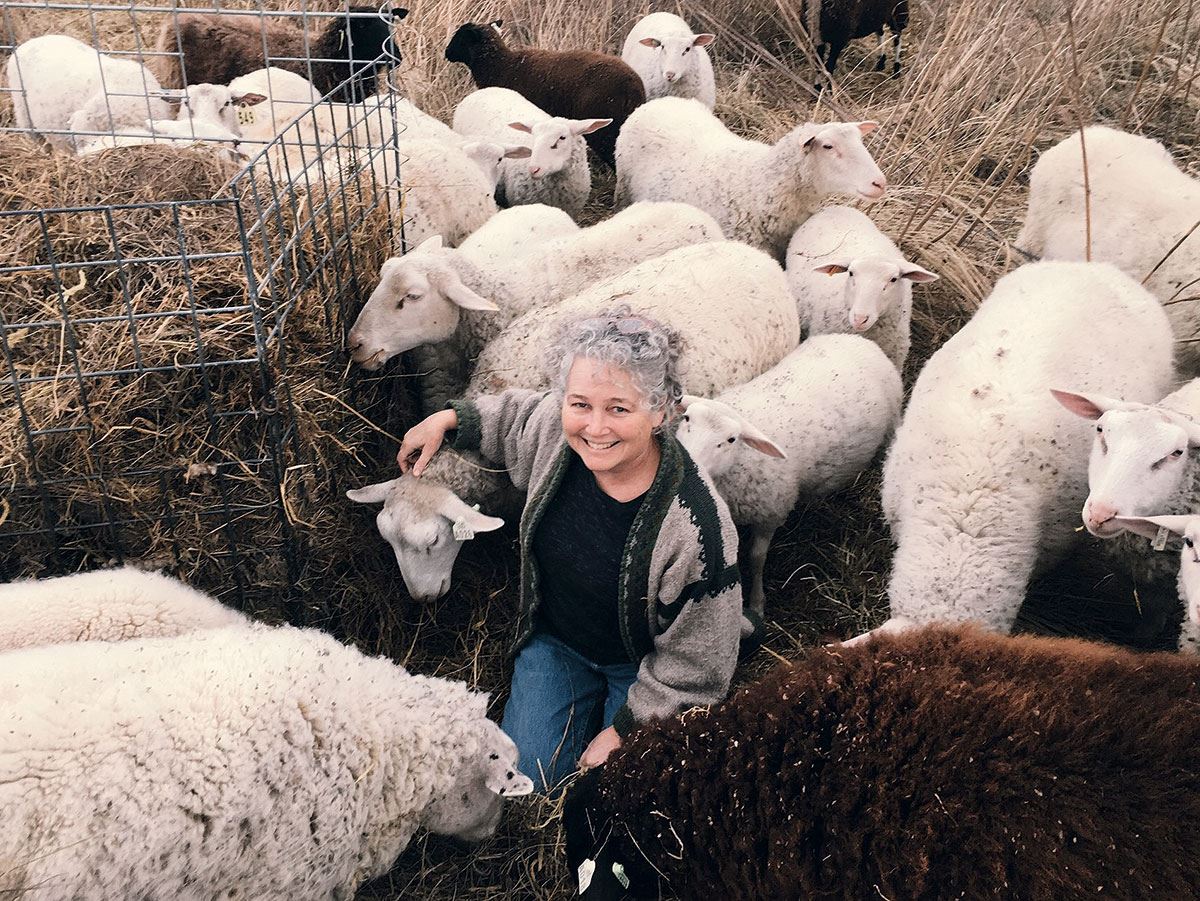 sheep-and-sarah.jpg