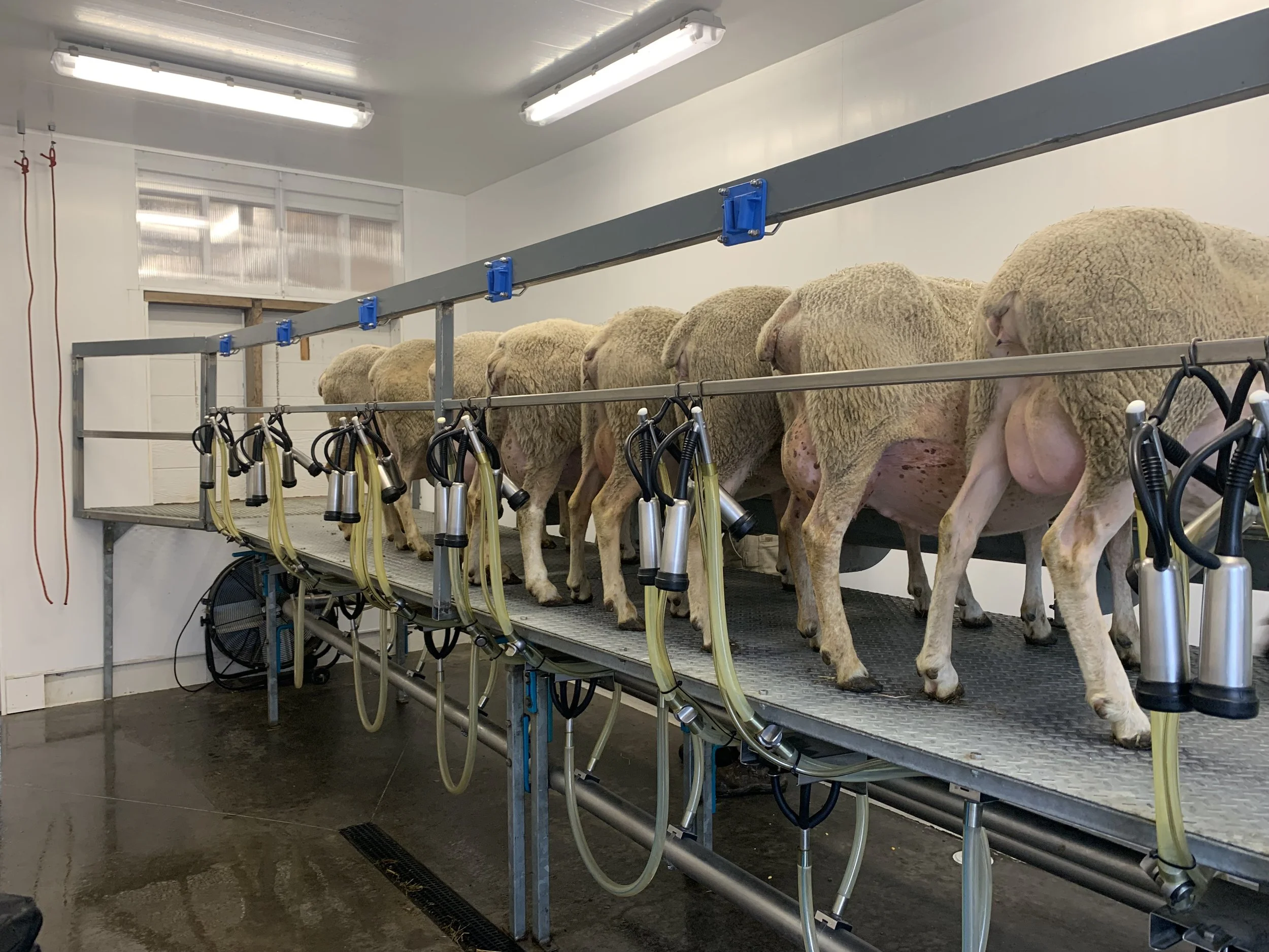 Willow Pond parlor.jpg