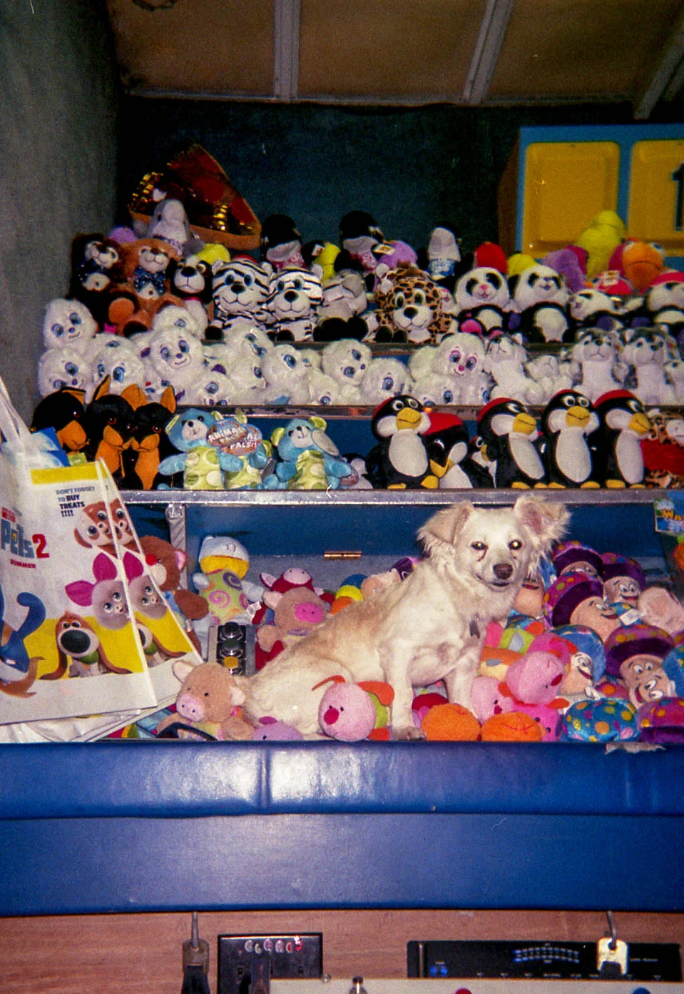 img760.jpg