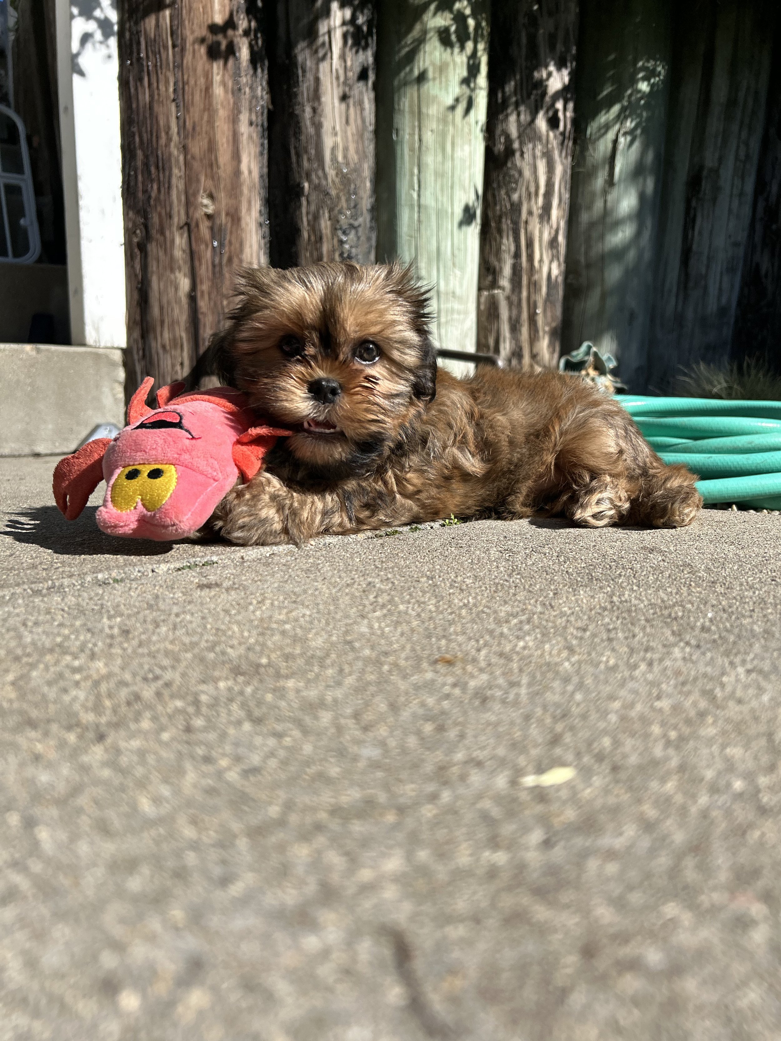 IMG_5724 2.jpeg