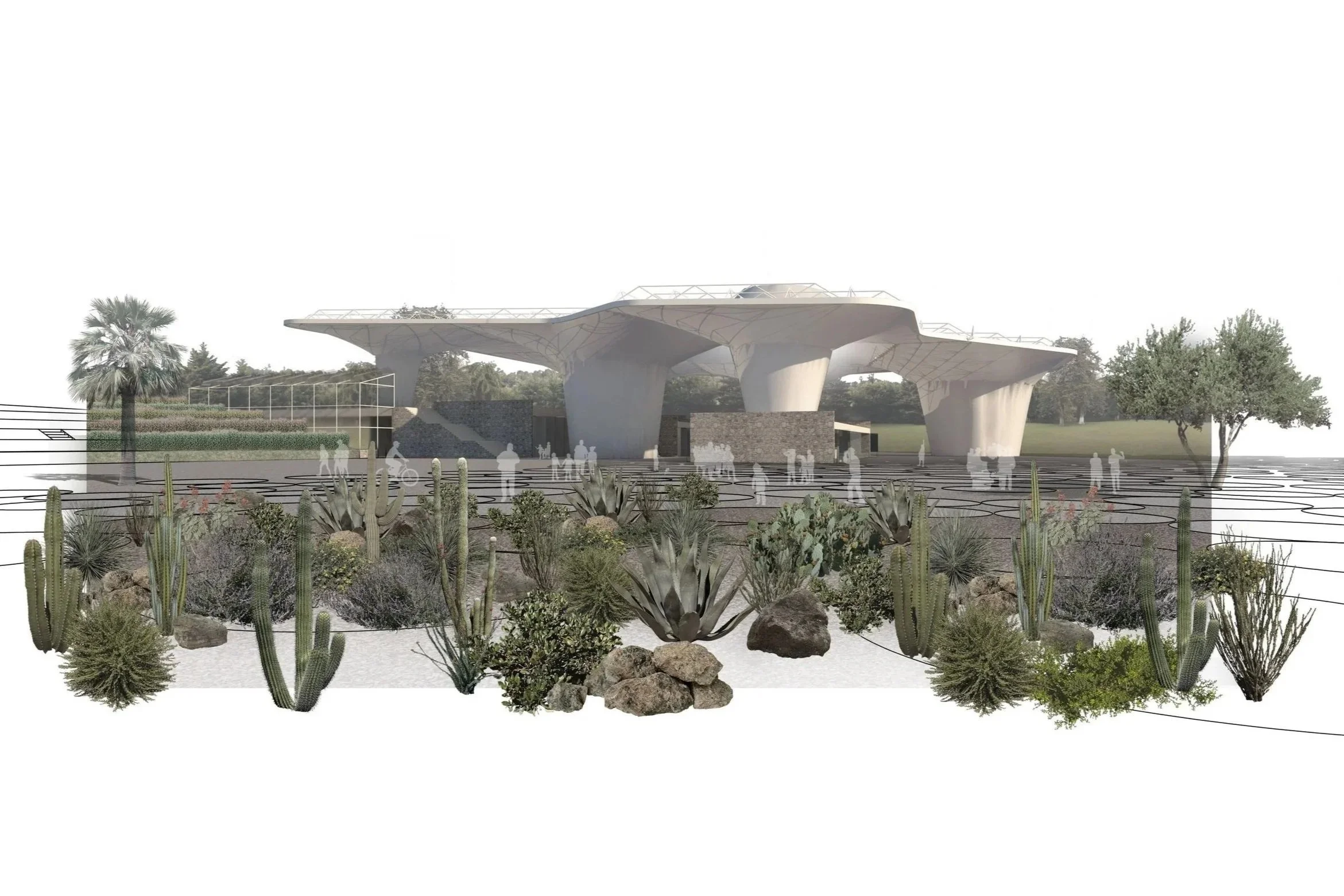 Our competition entry for CCA Chapultepec will be displayed among others at Galería Acuario de las rejas, Paseo de la Reforma.  (Copy) (Copy)