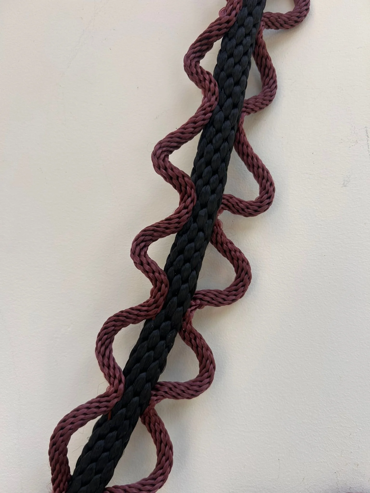 Black and Brown WWW Lead 5.jpeg