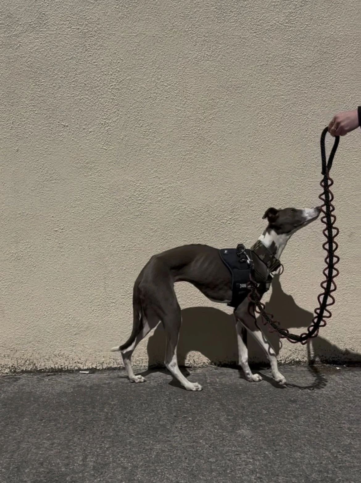 WhatsApp Image 2025-10-27 at 1.32.49 PM.jpeg