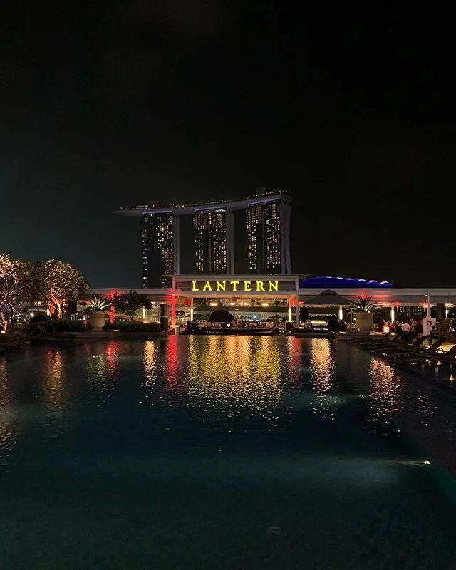 Singapore was delightful.
.
.
.
.
#singapore #marinabaysands #singaporenightlife #rooftopbar #infinitypool