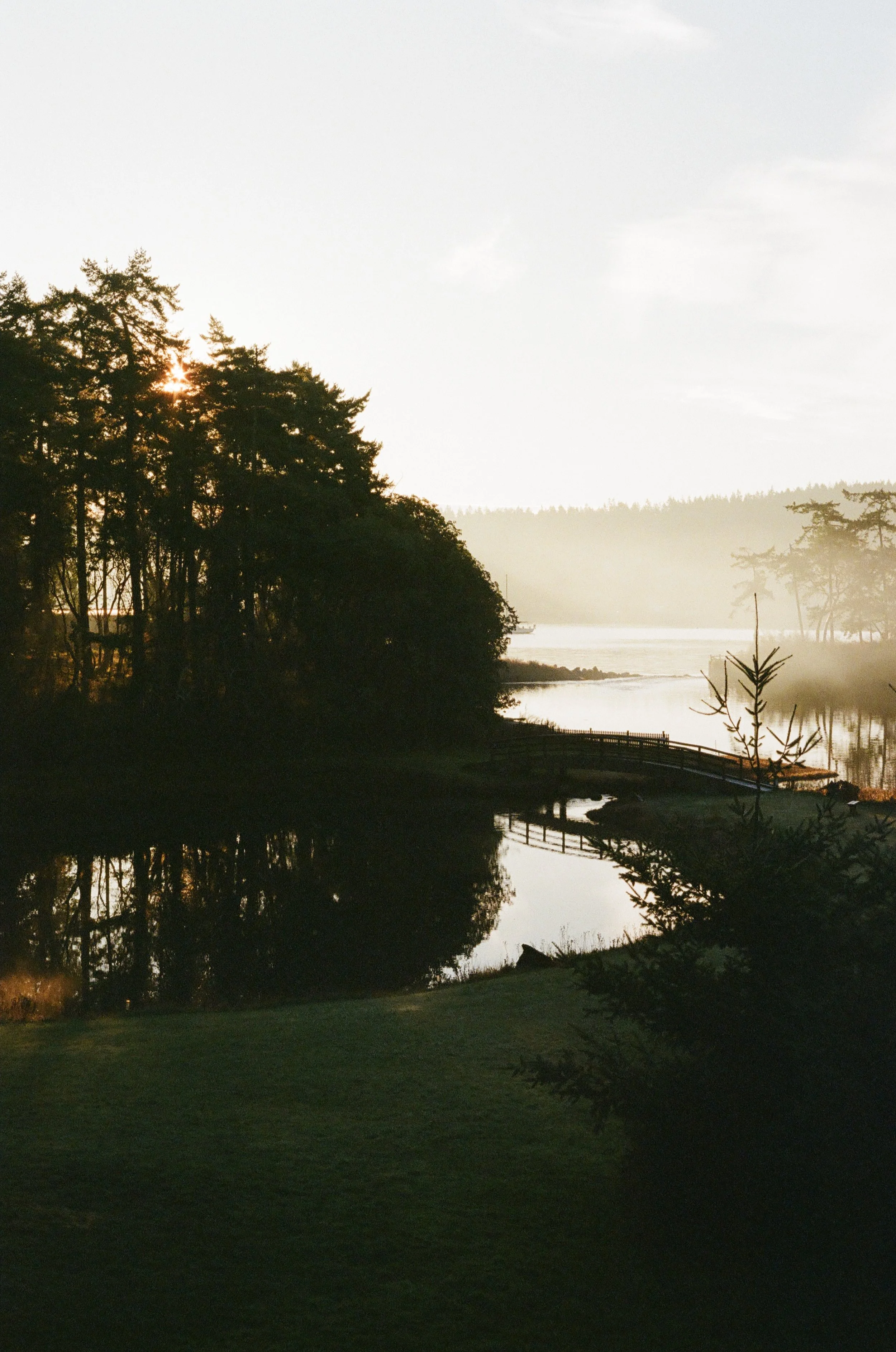 Meadow, Whidbey Island, Vertical.jpg