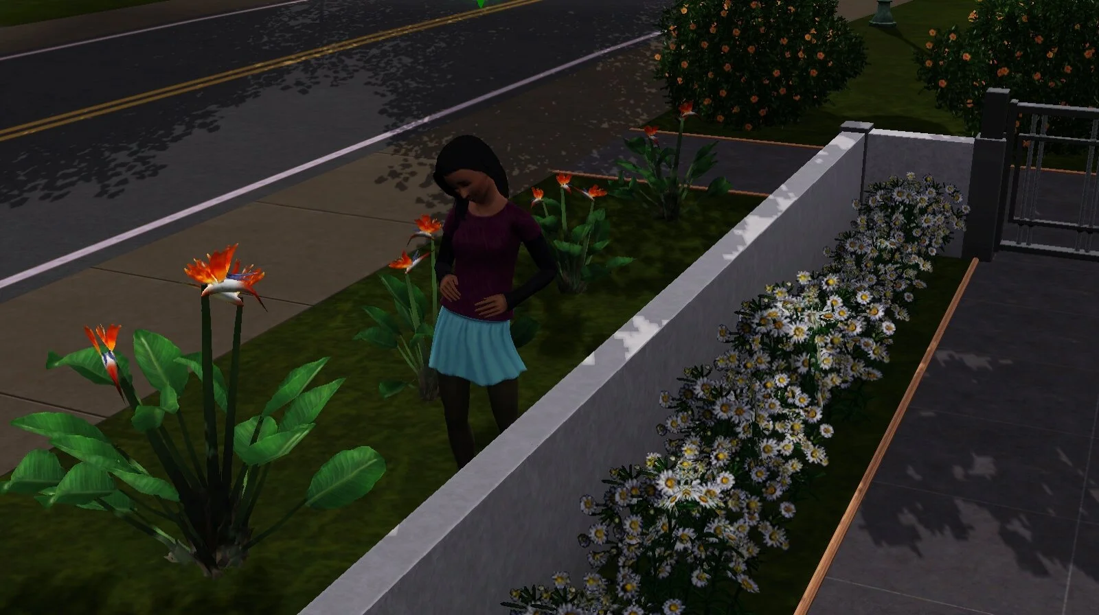 Bella Pregnant.jpg